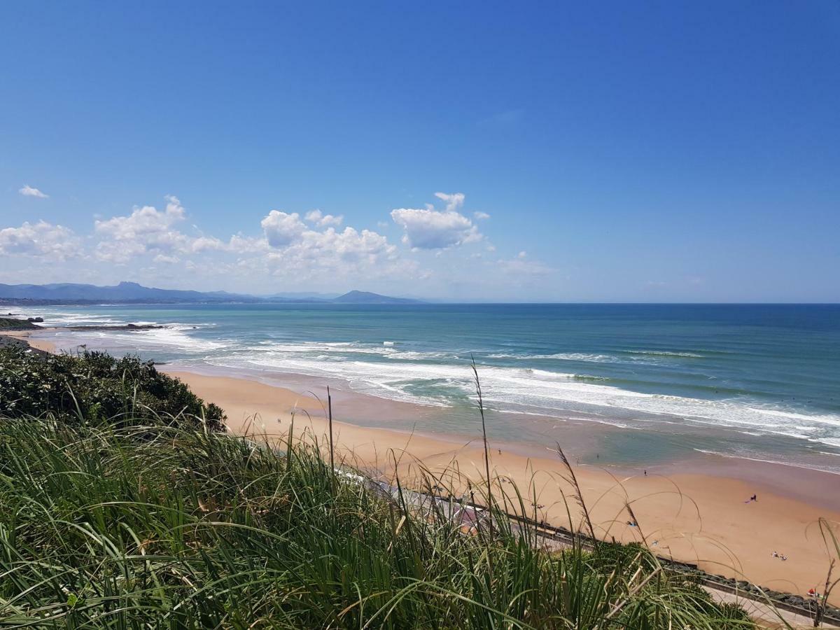 Charmant T2 Dans Le Très Prisé Quartier Beaurivage De Biarritz